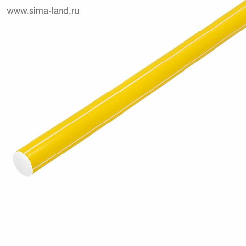 фото Палка гимнастическая 100 см, цвет жёлтый теропром