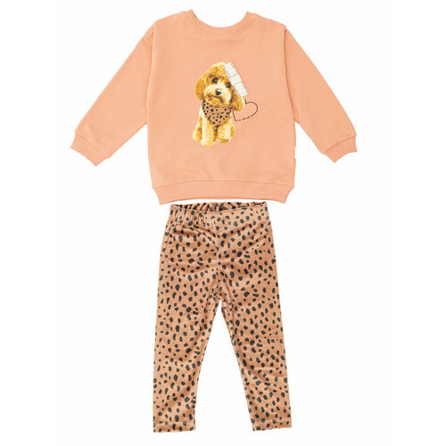 Комплект одежды , свитшот и легинсы, повседневный стиль, размер 18-24, оранжевый, коричневый