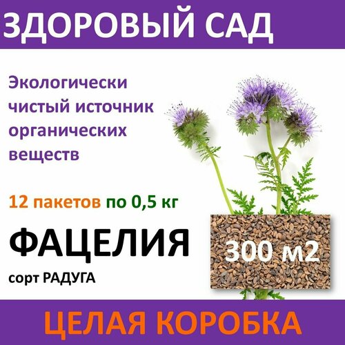 Семена сидерата Фацелия здоровый САД, 0,5 кг х 12 шт (6 кг)