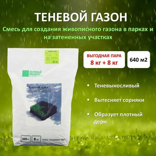 Семена газона Теневой (зеленый квадрат), 8 кг х 2 шт (16 кг) семена газона зеленый квадрат спортивный 0 3 кг х 15 шт 4 5 кг