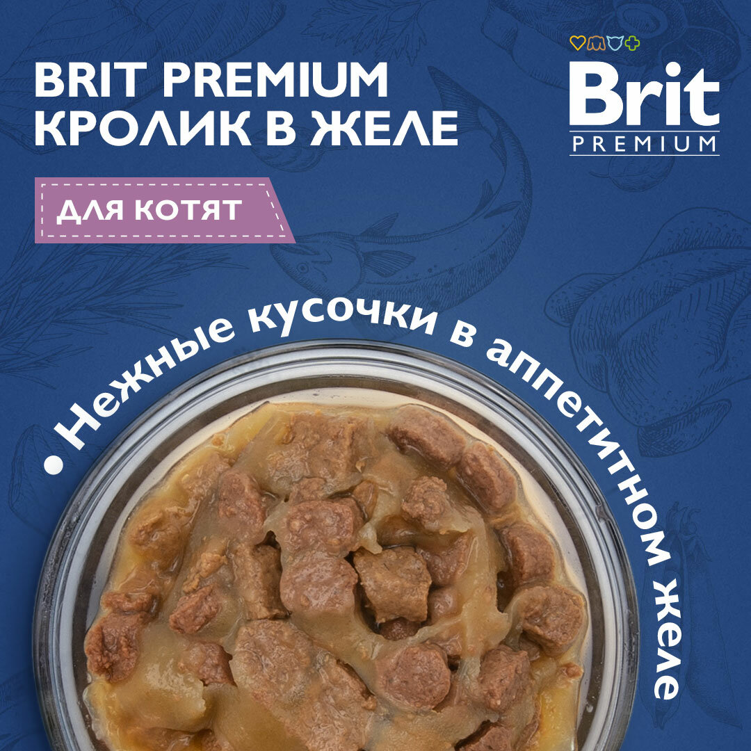 BRIT PREMIUM, Пауч для котят, Кролик в желе, 85г - фотография № 8