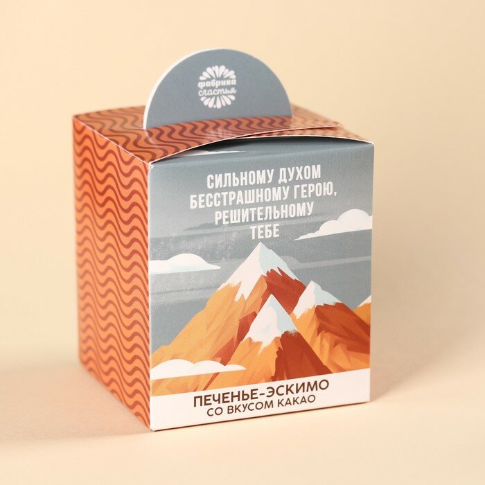 Печенье-эскимо «Покоряй вершины» в коробке, вкус: какао, 100 г. - фотография № 4
