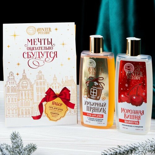 Winter Melody набор Мечты сбудутся гель для душа 250 мли шампунь для волос 250 мл 706₽