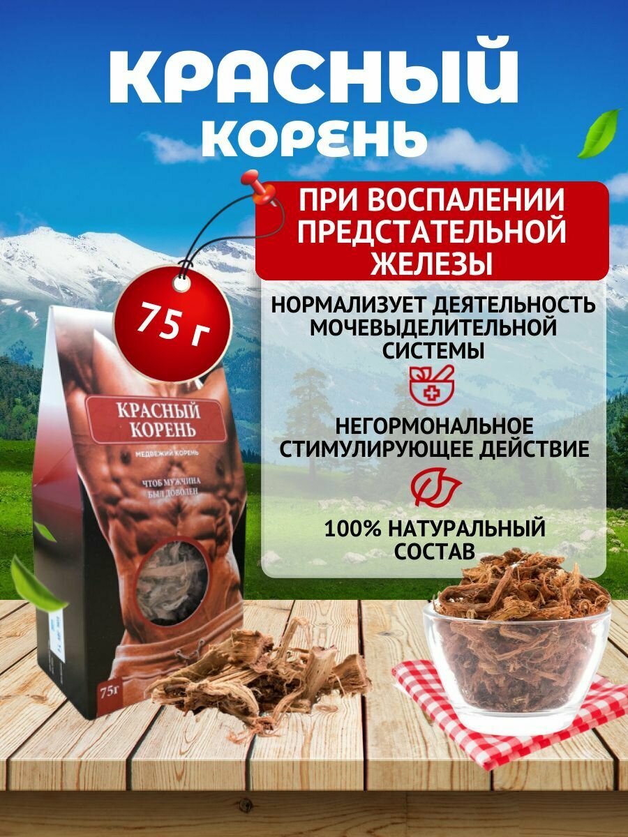 фото Красный корень, медвежий корень, чай при простатите, для повышения потенции, при анемии, болезнях ЖКТ и др, натуральное средство, фиточай Травы Алтая