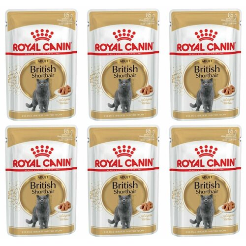 сухой корм для взрослых кошек royal canin british shorthair adult 2 кг Royal Canin Влажный корм для кошек британской короткошерстной породы British Shorthair Adult, соус, старше 12 месяцев, 85 г, 6 шт