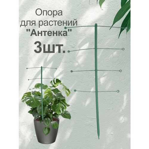 Поддержка (опора) для комнатных растений, высота 42,5 см (3 шт.)