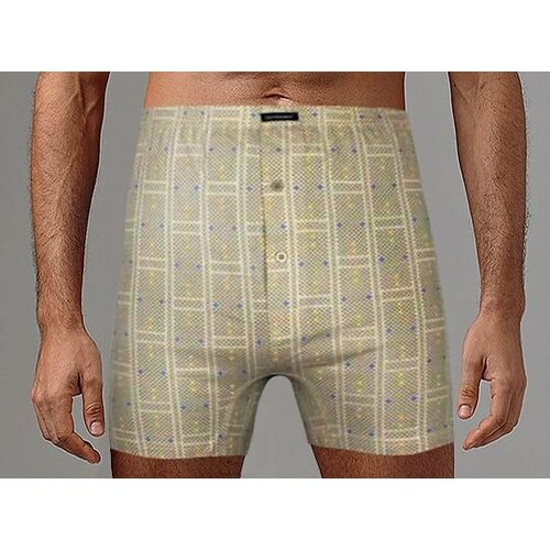 фото Трусы gentlemen, размер xxxl, бежевый