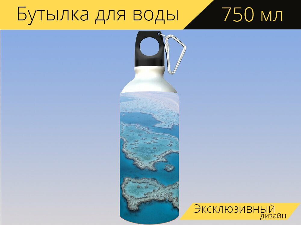 Бутылка фляга для воды "Большой барьерный риф, кораллы, австралия" 750 мл. с карабином и принтом