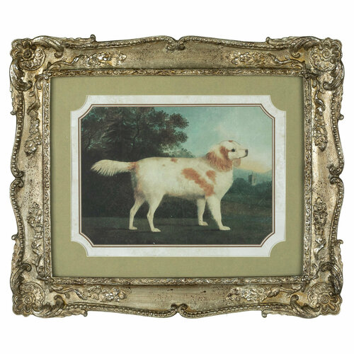 Картина в раме Casaentera CE04-28-233 320х20х270