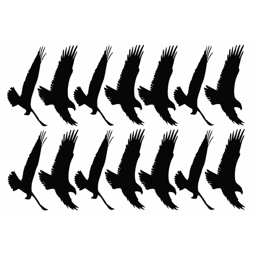 Наклейки-стикеры: силуэты хищных птиц (21 x 30) см - V12 Комплект 25 штук
