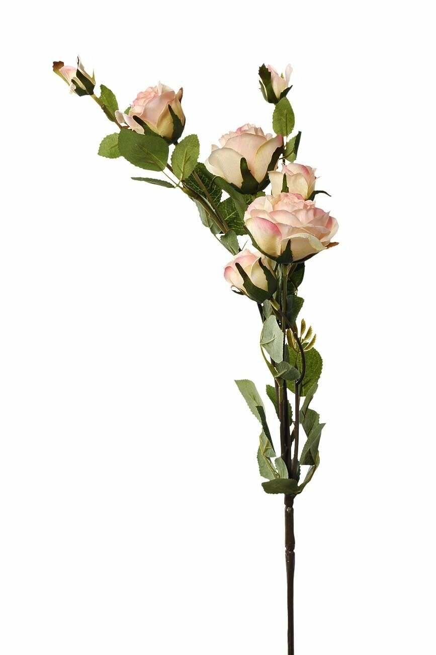 Роза кустовая нежно-розовая Garda Decor 9F27994-4137