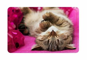 Основная фотография от вендора