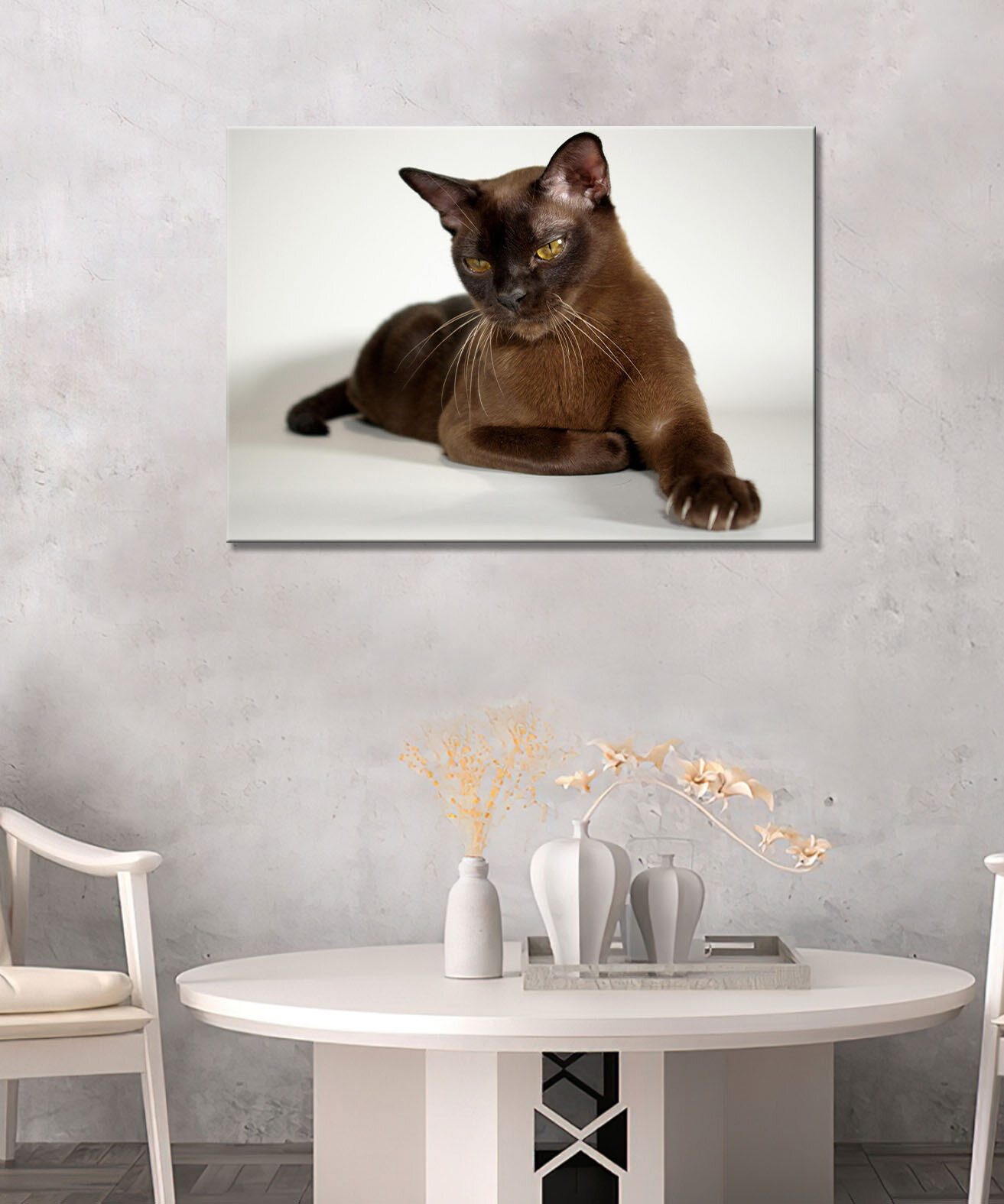 Картина - кошка, бурманская кошка, кот, тёмная кошка, ласковая кошка (45) 20х30