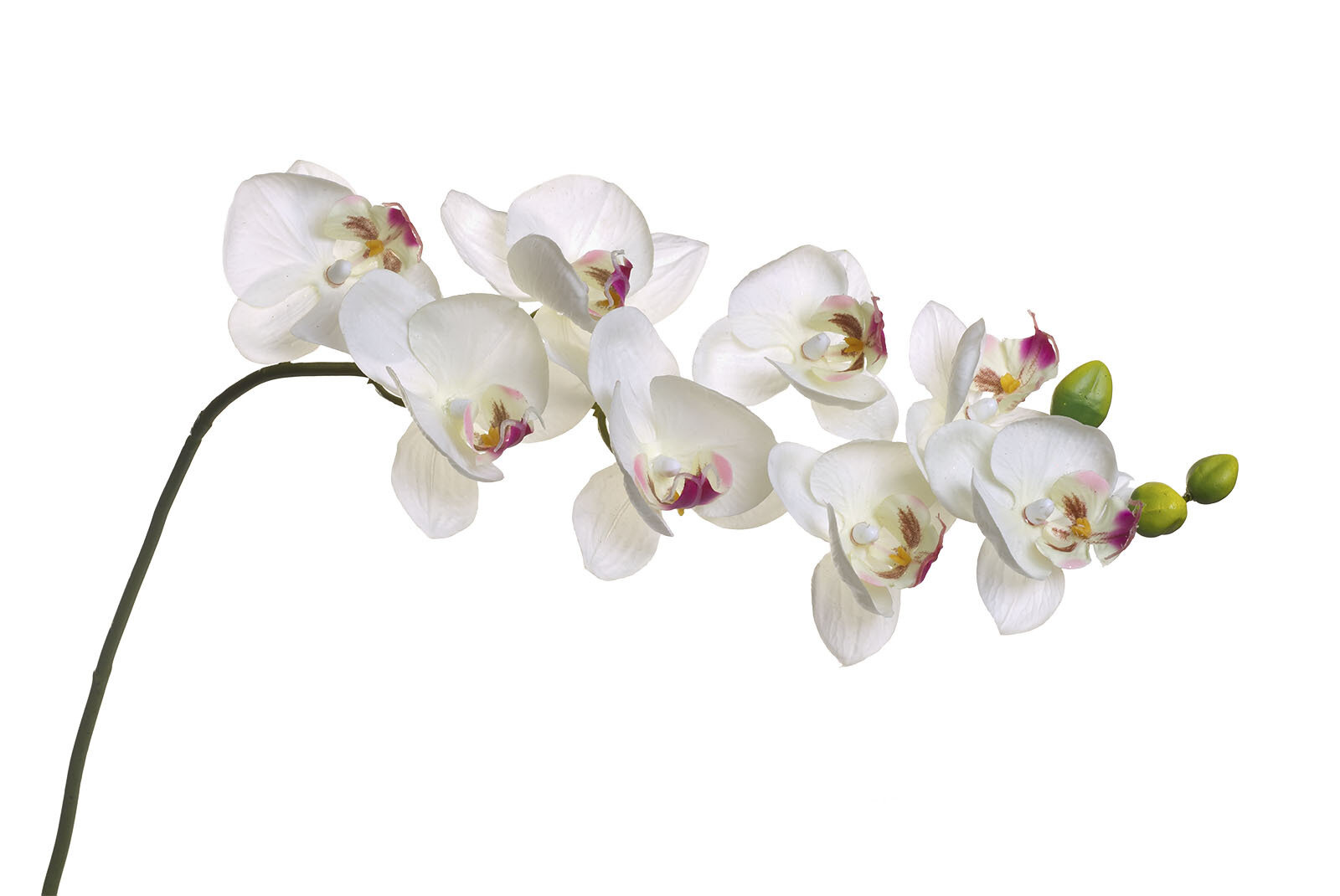 Орхидея белая Garda Decor 8J-1219S0003