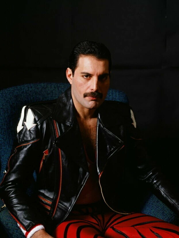 Плакат постер на холсте Freddie Mercury/Фредди Меркьюри/музыкальные/поп исполнитель/артист/поп-звезда/группа. Размер 30 х 42 см