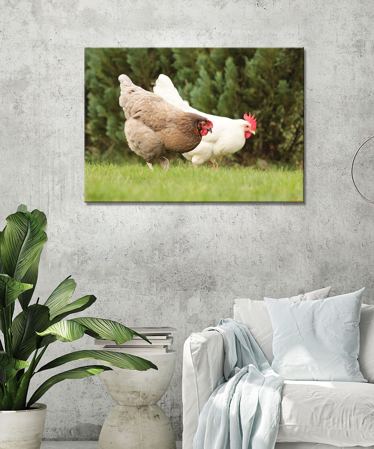 Картина - Курица, курицы, курочка, петух, петухи, красивые породы куриц (3) 50х70