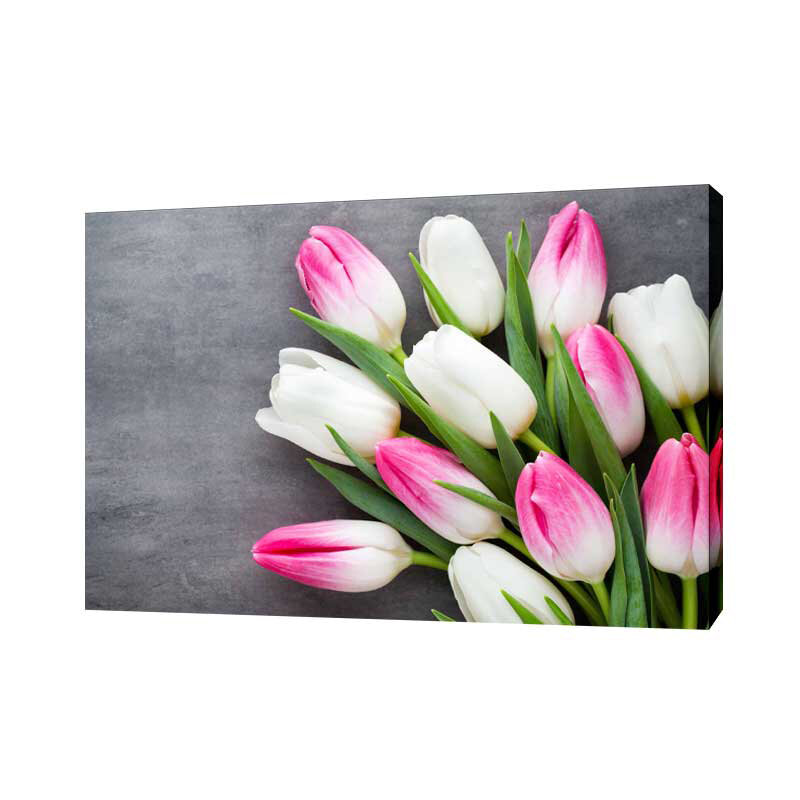 Картина на холсте Бело-розовые тюльпаны 50х70 см