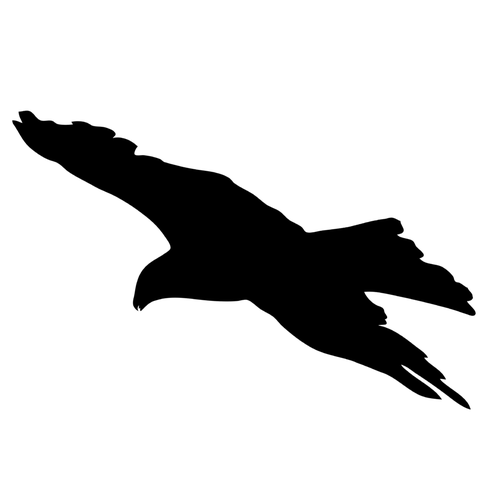 Наклейки-стикеры: силуэты хищных птиц (21 x 30) см - V30 Комплект 10 штук