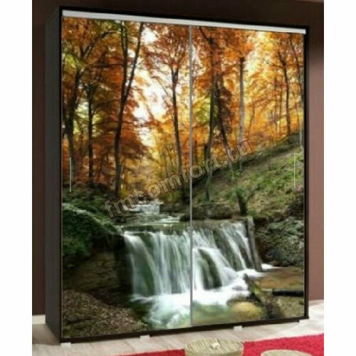 Шкаф-купе Фотопечать-8 Лесной ручей