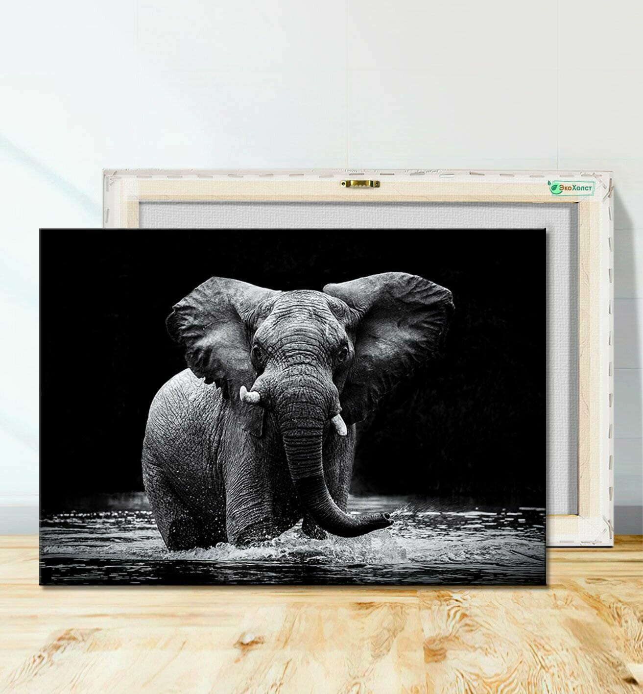 Картина на холсте для интерьера Африканский слон черно белый 20х30