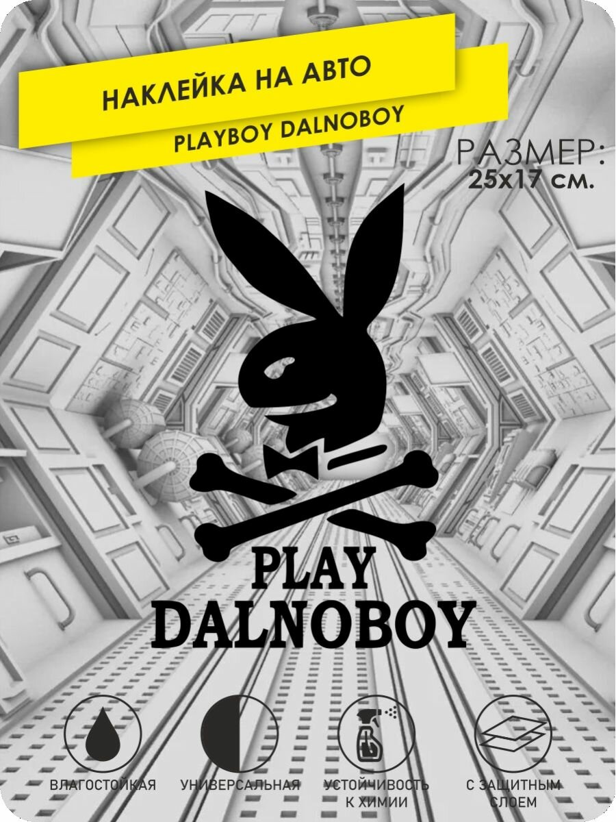 Наклейка на машину Playboy DALNOBOY 25x17