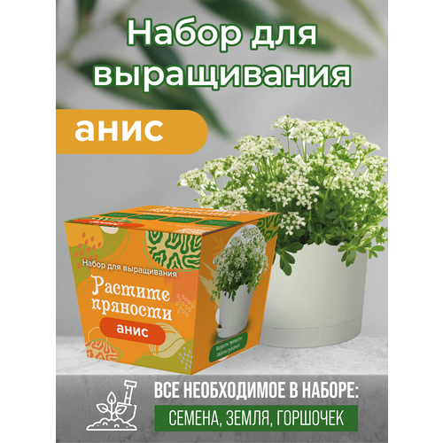Коллекция наборов для выращивания Растите пряности Анис 470₽