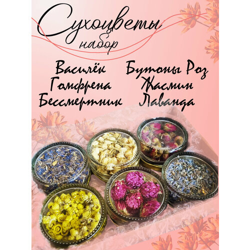 Набор сухоцветов 6 штук