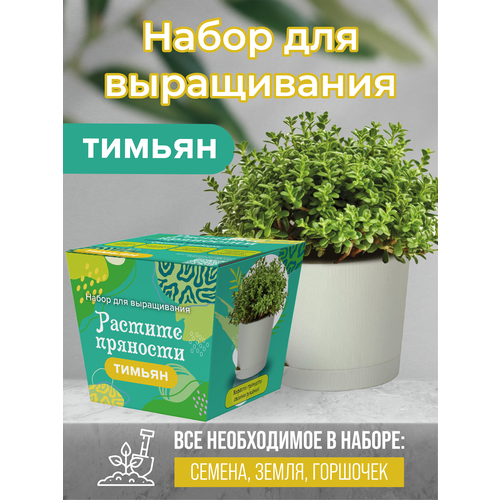 Коллекция наборов для выращивания Растите пряности Тимьян 470₽
