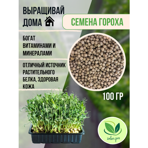 Семена микрозелени гороха мадрас и проращивание 1 шт 100 грамм горох мадрас набор на 3 урожая для выращивания микрозелени