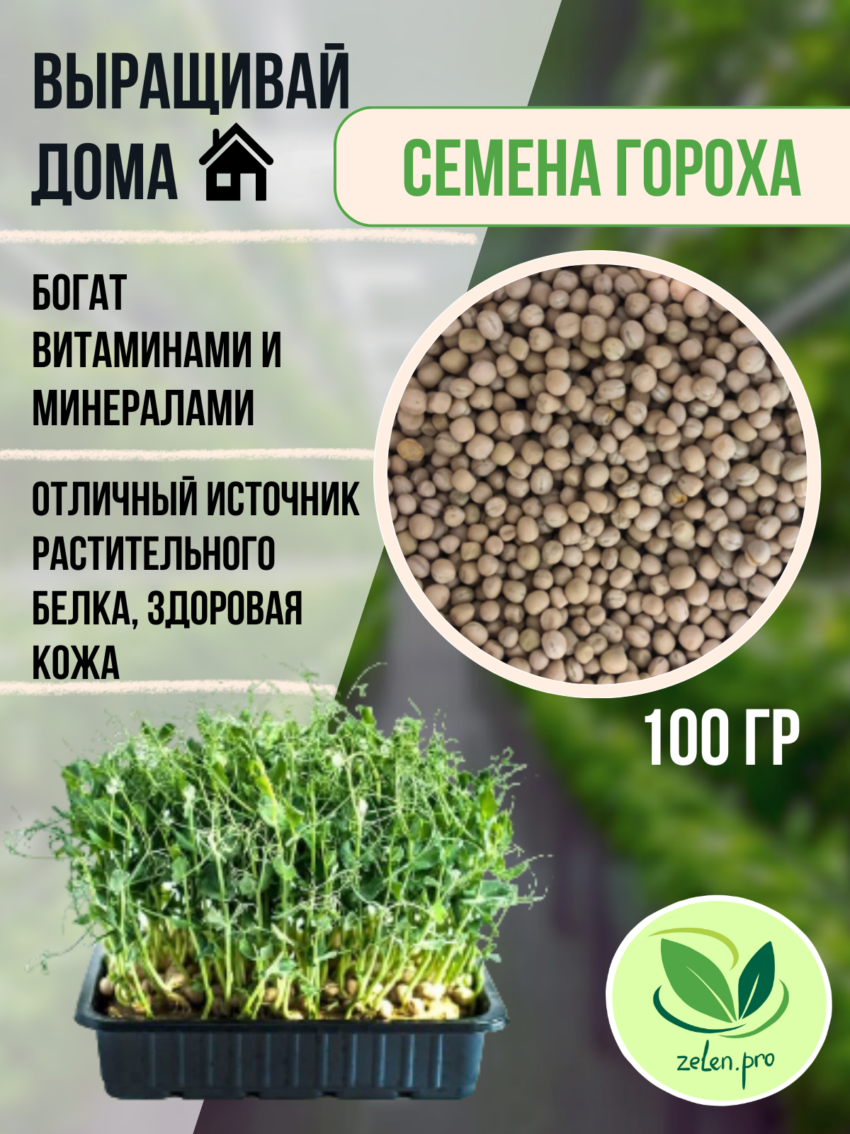 Семена микрозелени гороха мадрас и проращивание 1 шт 100 грамм