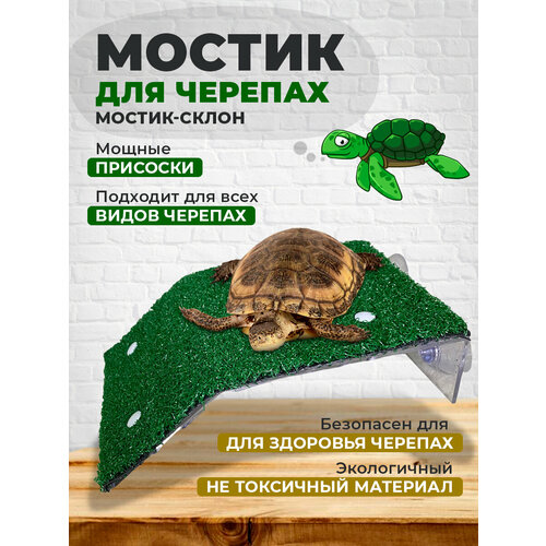 Мостик для черепах на присосках 115x120 мм+75 мм склон