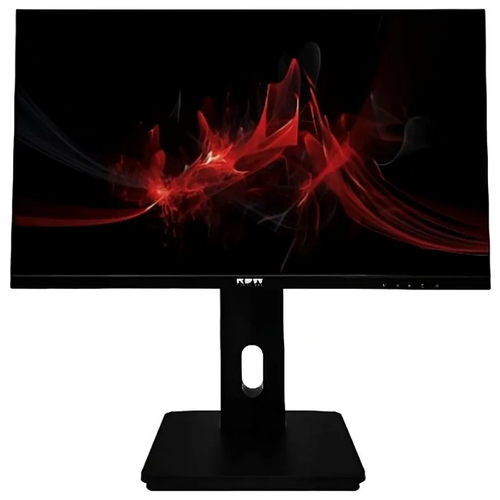 Монитор RDW Computers RDW2423K черный 1379600₽