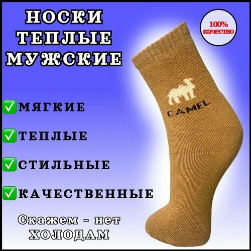 Мужские носки , 3 пары, 3 уп., размер 41-47, бежевый