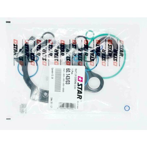 Ремкомплект ТНВД 5WS40019-Z Siemens/VDO 60143/03