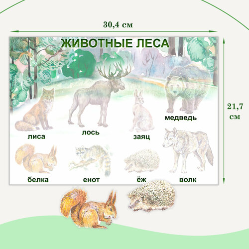 Развивающее пособие «Животные леса