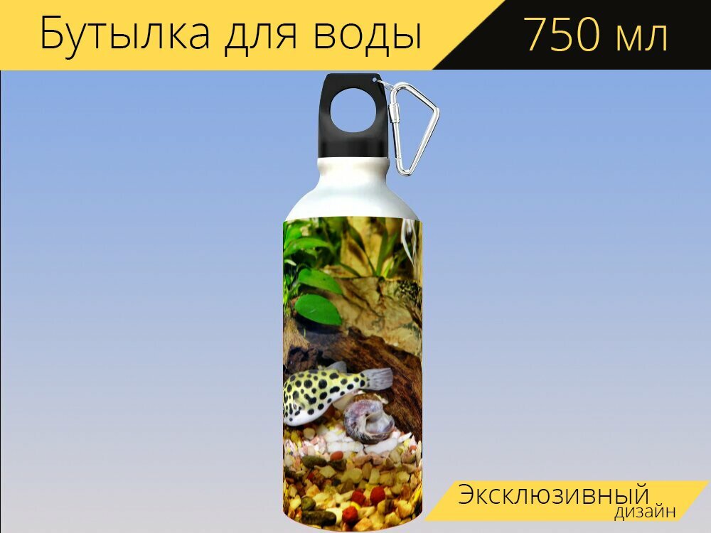 Бутылка фляга для воды "Аквариум, рыба фугу, ядовитый" 750 мл. с карабином и принтом