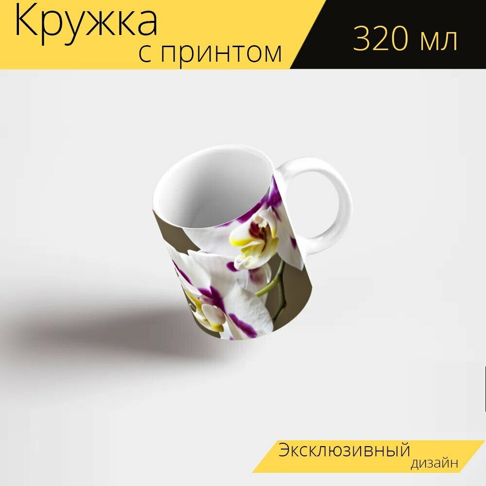 фото Кружка с рисунком, принтом "Орхидеи, фаленопсис, бабочки орхидеи" 320 мл.