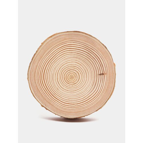 Спил сосны, спил дерева, высушенный, идеально отшлифованный с обеих сторон, диаметр 9-10 см.