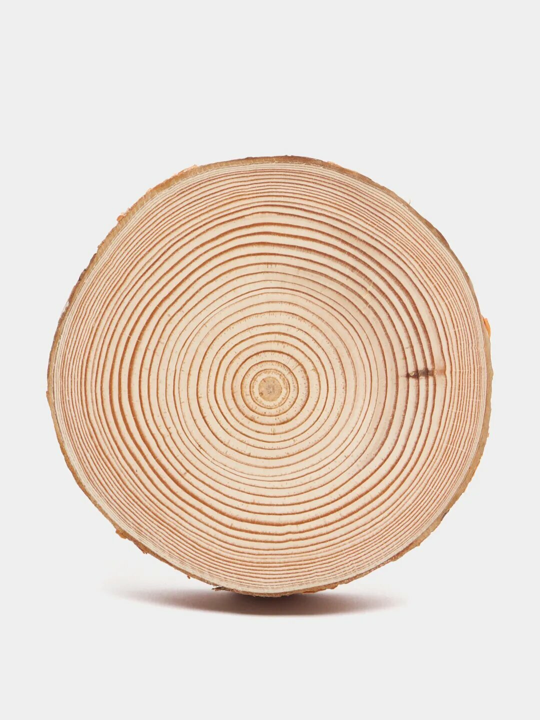 фото Спил сосны, спил дерева, высушенный, идеально отшлифованный с обеих сторон, диаметр 9-10 см.