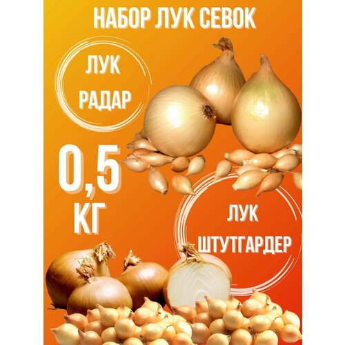 Набор Лук Севок 1 кг ависта лук севок центурион f1 0 5 кг 1 шт 0 5 кг