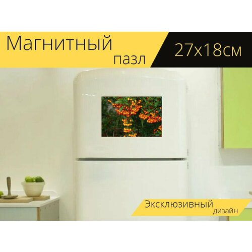 Магнитный пазл Природа, облепиха, кустарник на холодильник 27 x 18 см.