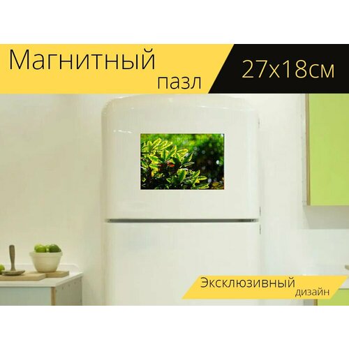 Магнитный пазл Листья, зеленый, природа на холодильник 27 x 18 см. магнитный пазл природа листья зеленый на холодильник 27 x 18 см