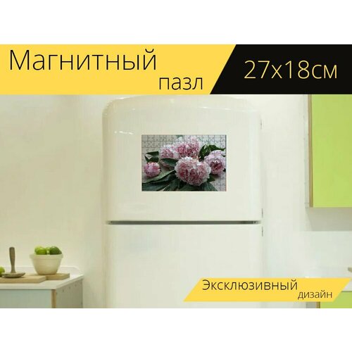 Магнитный пазл Цветы, пионы, зерновой на холодильник 27 x 18 см. магнитный пазл пионы цветы белые на холодильник 27 x 18 см