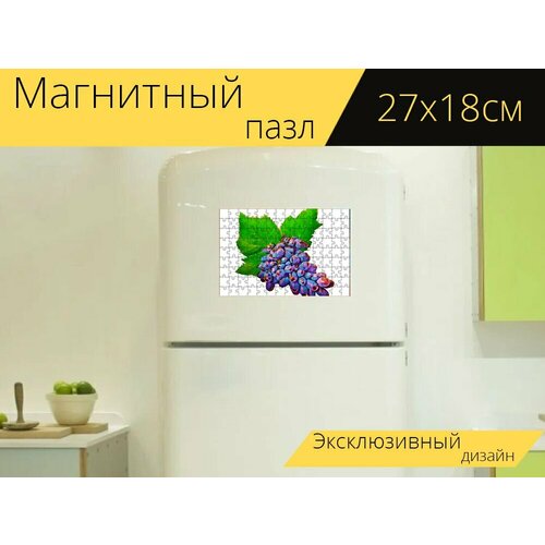 Магнитный пазл Акварелью фрукты, фрукты, грейпфрут на холодильник 27 x 18 см. магнитный пазл лавровые фрукты фрукты листья на холодильник 27 x 18 см