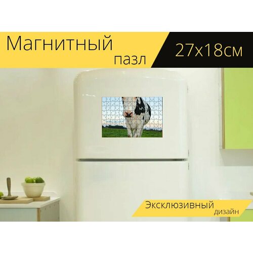 Магнитный пазл Коровы, животные, млекопитающие на холодильник 27 x 18 см.