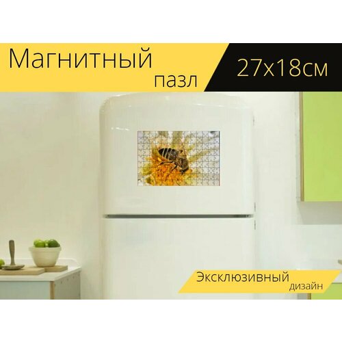 Магнитный пазл Пчела, цветочная пыльца, насекомое на холодильник 27 x 18 см. магнитный пазл макрос пчела цветочная пыльца на холодильник 27 x 18 см