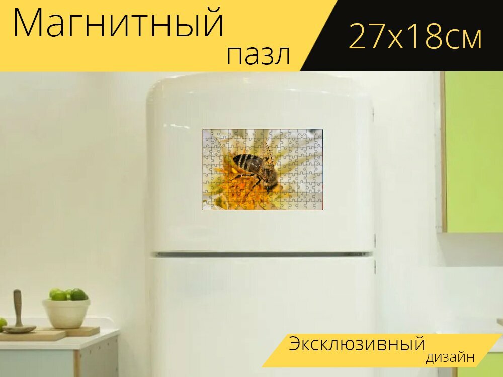 Магнитный пазл "Пчела, цветочная пыльца, насекомое" на холодильник 27 x 18 см.