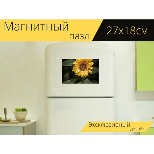 Магнитный пазл Подсолнечник, цветок, желтый на холодильник 27 x 18 см. магнитный пазл подсолнечник цветок природа на холодильник 27 x 18 см