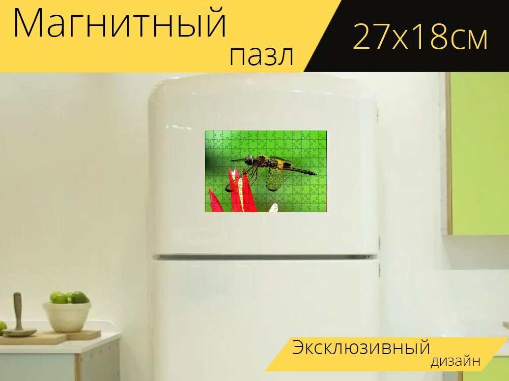 Магнитный пазл "Дракон, макрос, цветок" на холодильник 27 x 18 см.