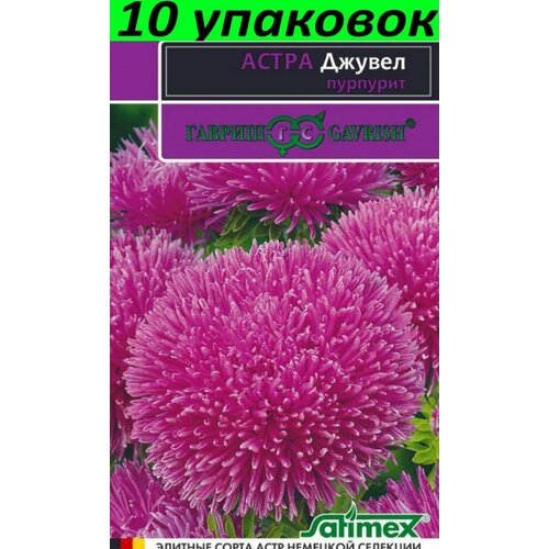 Семена Астра Джувел Пурпурит игольчато-коготковая 10уп по 0,05г (Гавриш) семена астра джувел пурпурит игольчато коготковая 0 1г гавриш 2 упаковки